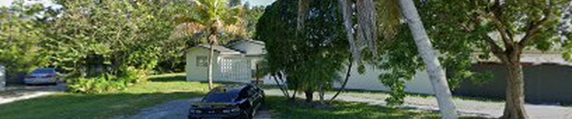 Nu Tree Service