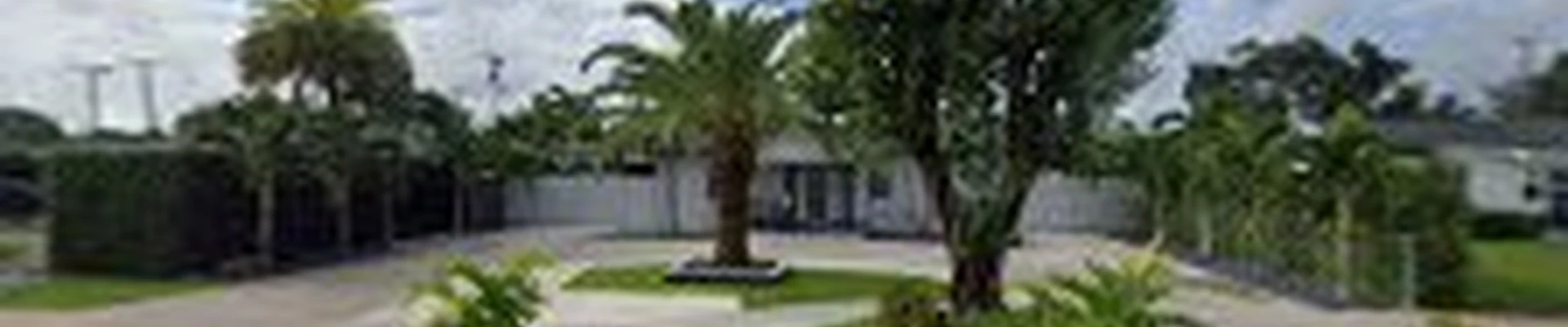 Dreidy & Brother Miami Tree Service | Cortadores de árboles y palmas en Miami