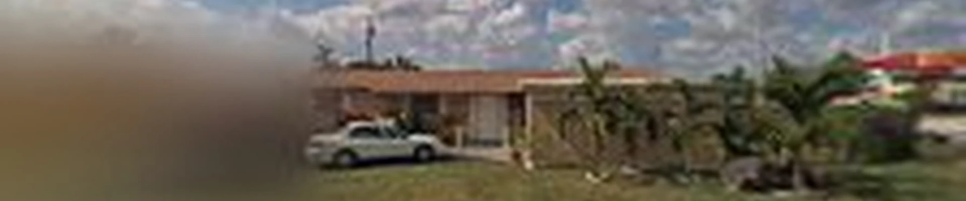Miami Tree Trimming Service And Removal