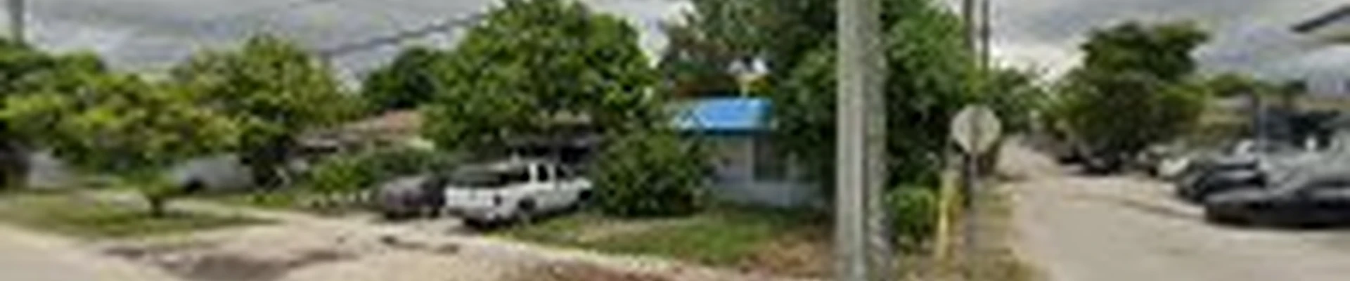 Discount Tree Services Miami