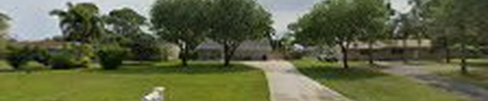 All Brothers Tree Service