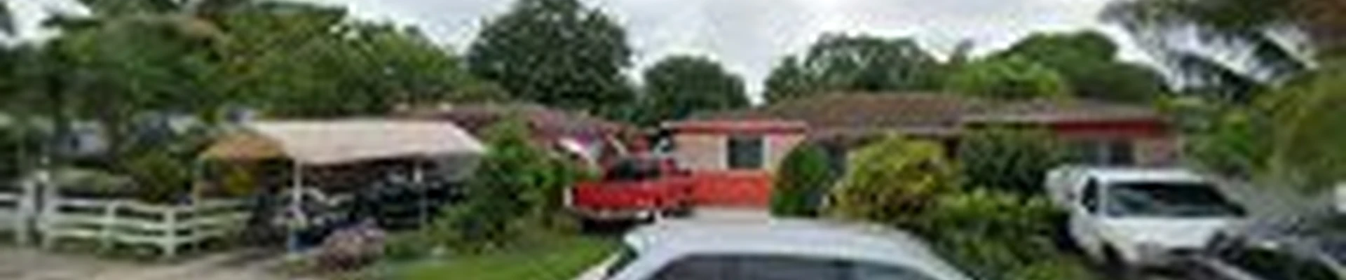 Delgado Tree Service