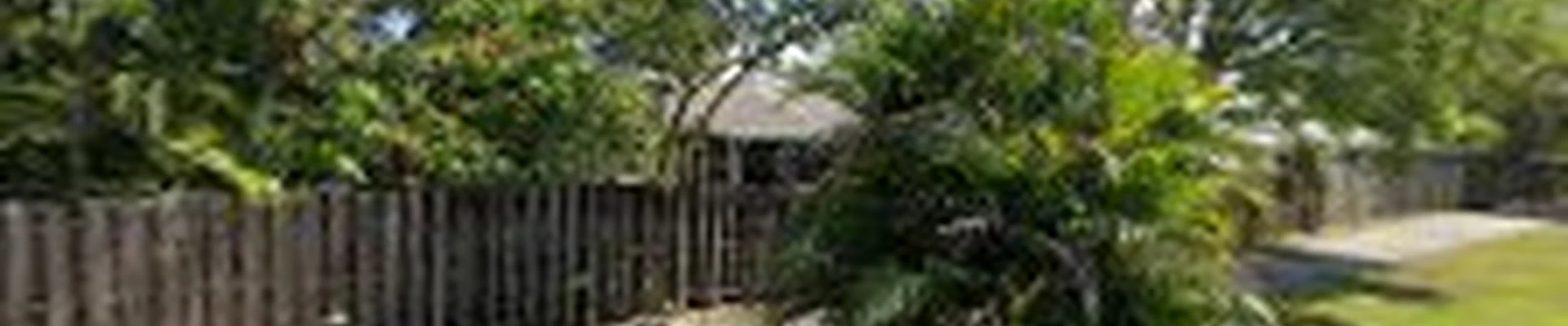 Davie Florida Tree Service