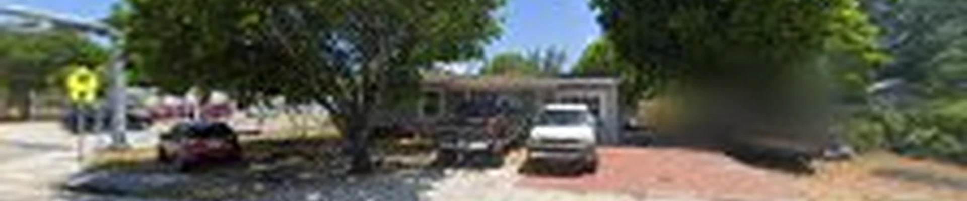 Monkey guy tree service Fort Lauderdale
