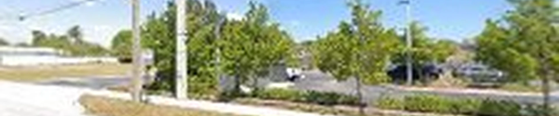 Boynton Beach Tree Service