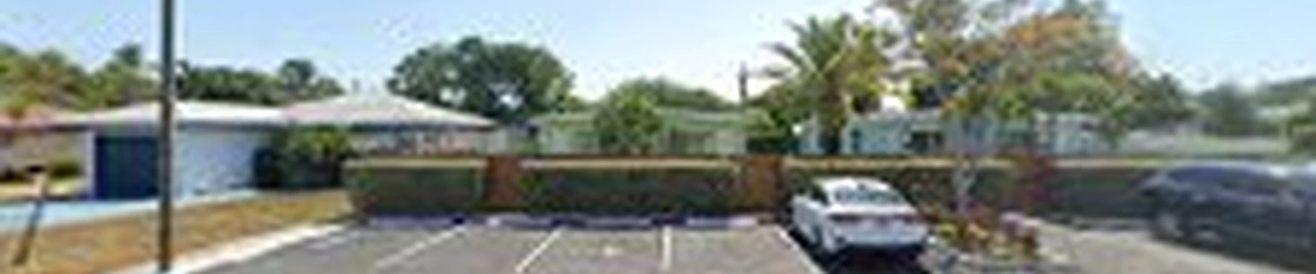 Delray Tree Service