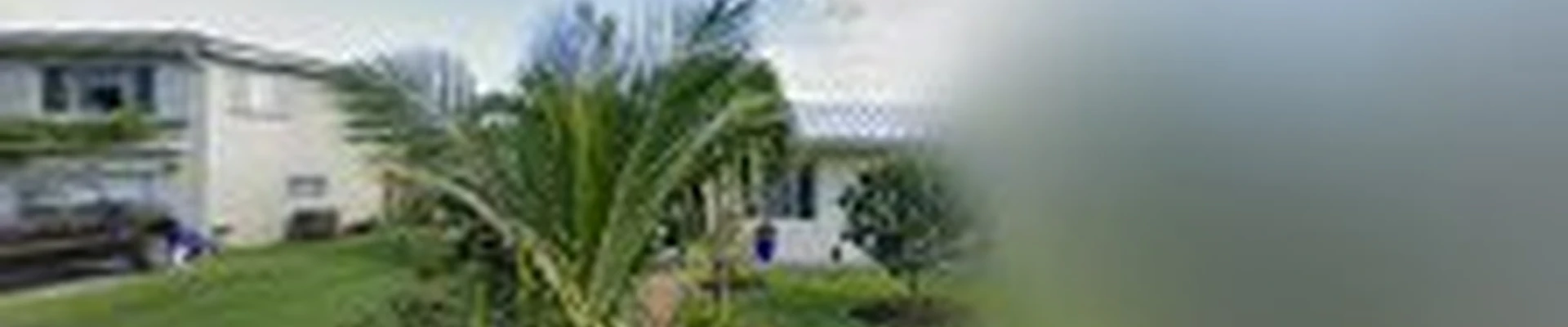Canoa Tree Service inc