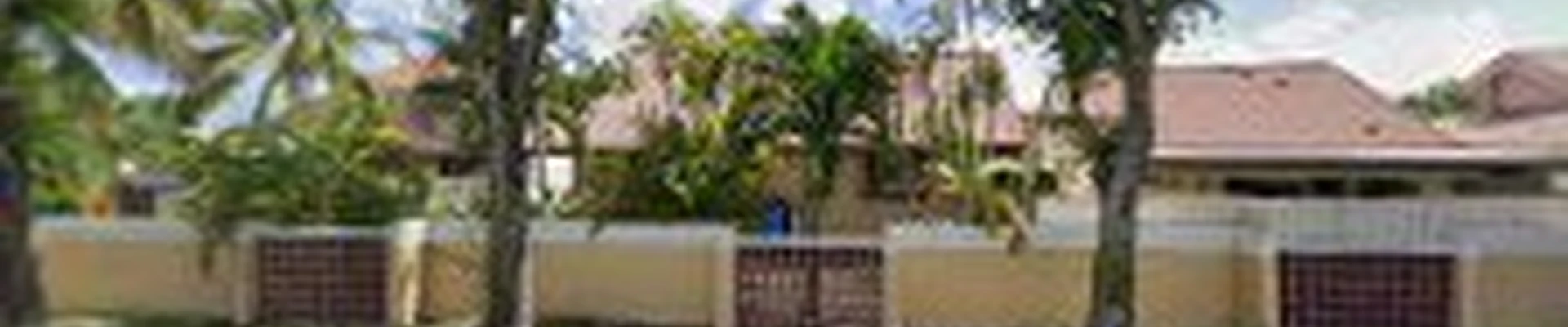 GREEN Trees of Miami