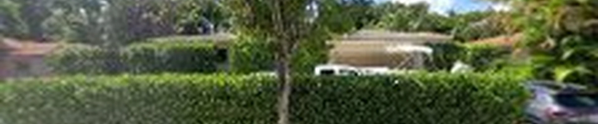 Greenday lawn care