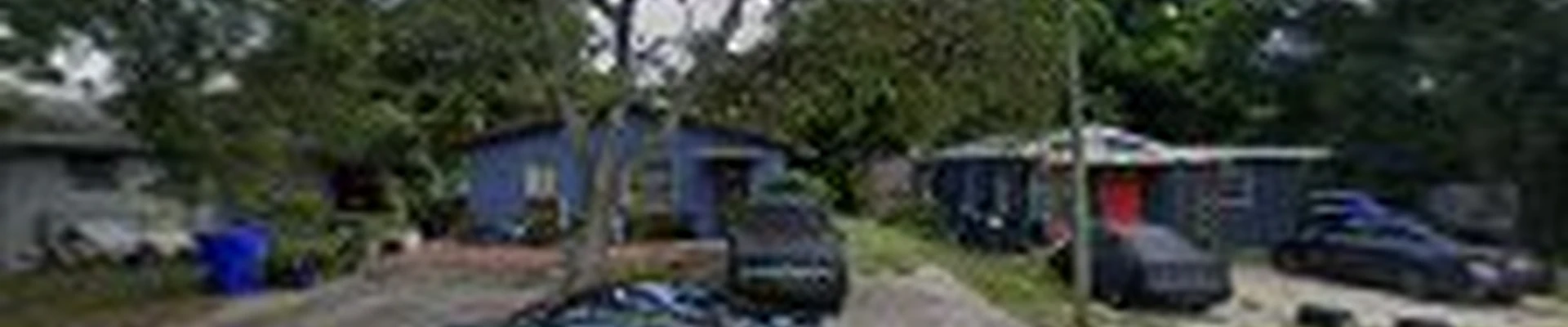 Tree surgeons alpha