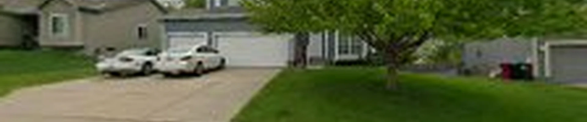 M & T Tree & Stump Removal