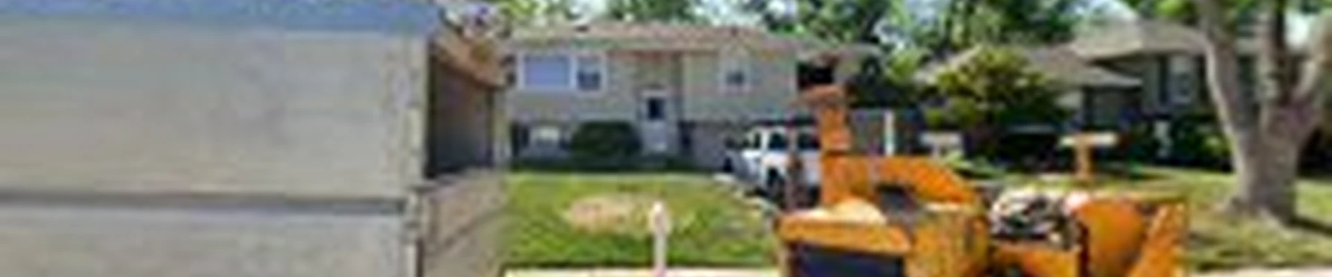 Premier Tree Professionals