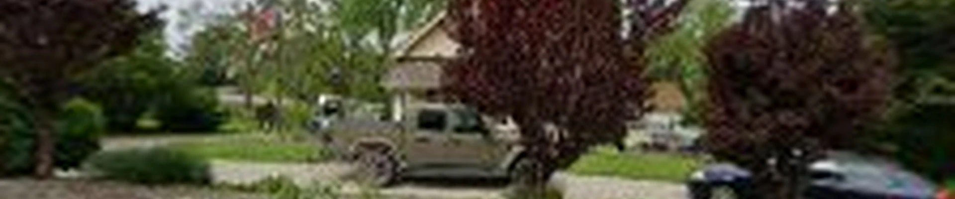 A & C Tree Service