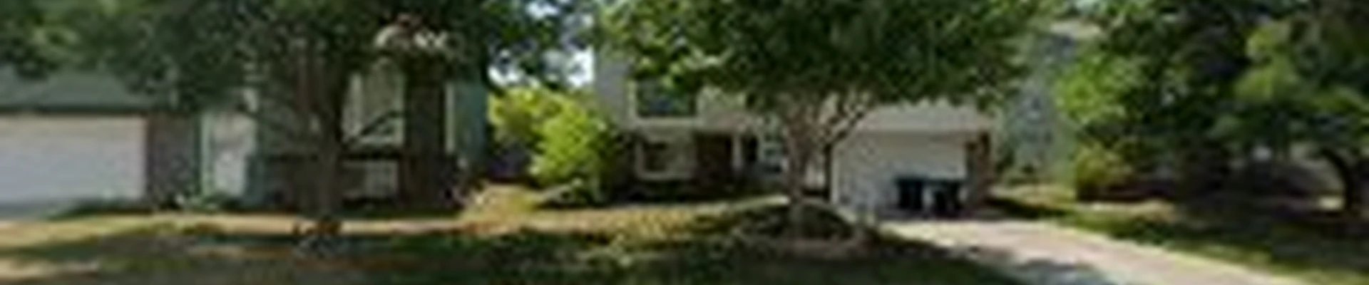 Tree Services of Omaha