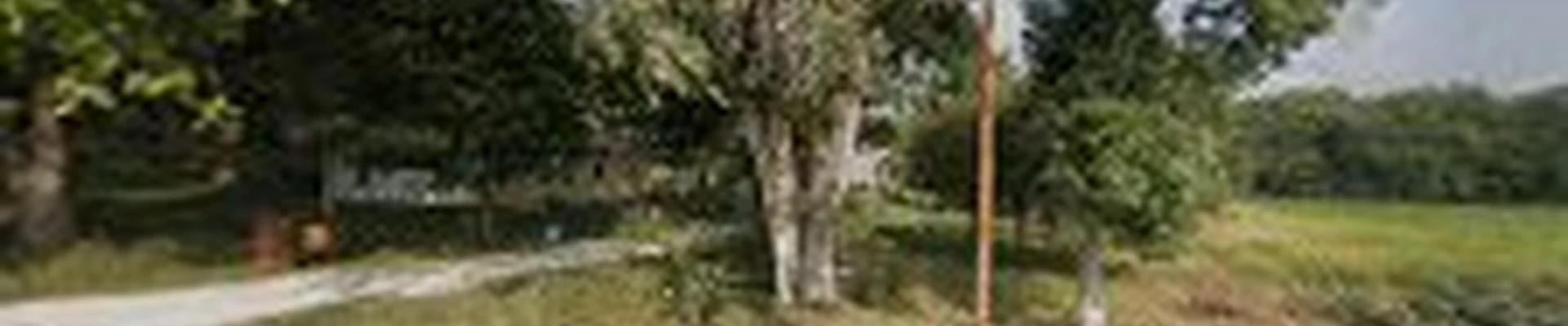 Honey Creek Tree Service LLC