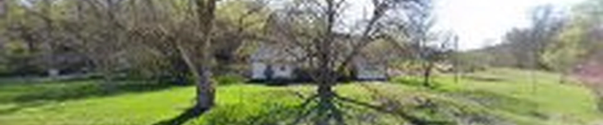 Tree Wise Men - Tree Trimming, Removal & Storm Damage Cleanup