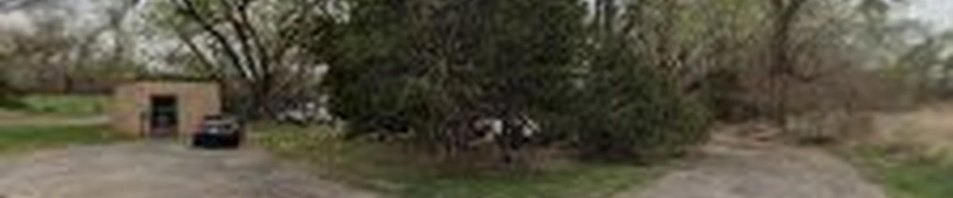 Out on a Limb Tree Service