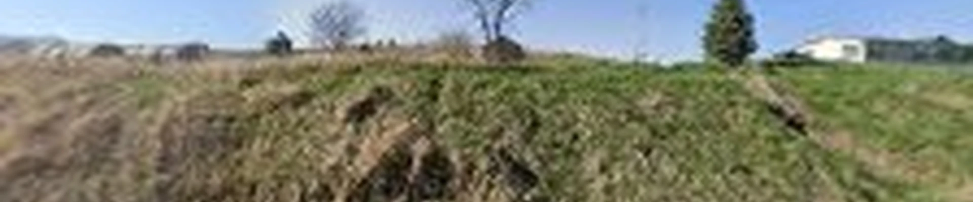 Stump's Be Gone llc