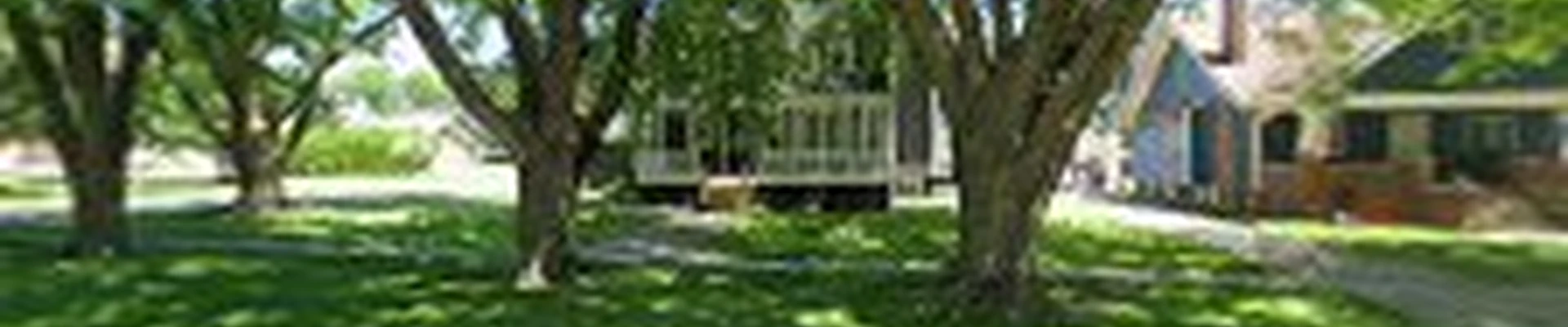 American Tree Service LLC