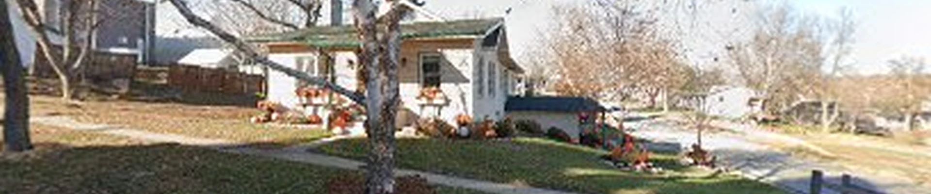 Daum Tree Service