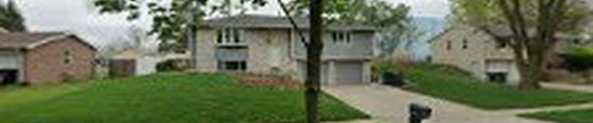 Blue Ox Tree Service