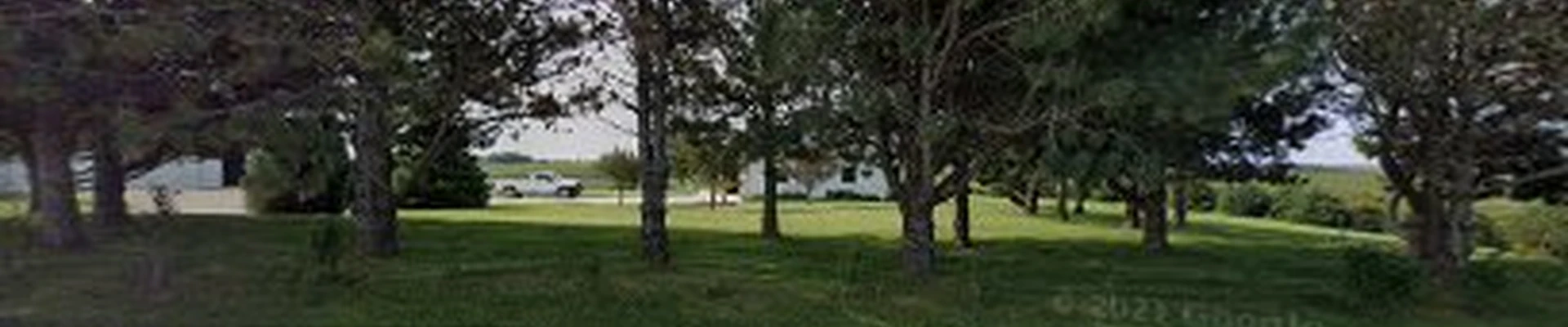 Ridgeline Tree Removal