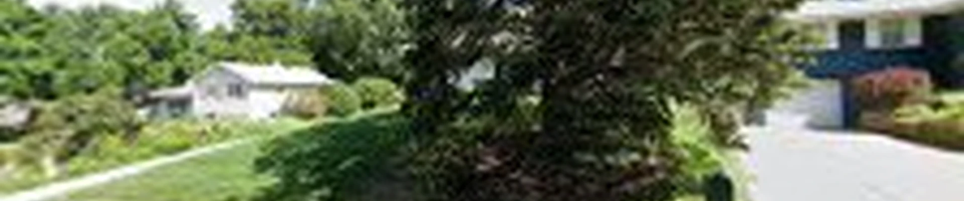 TJ's Lawn Maintenance