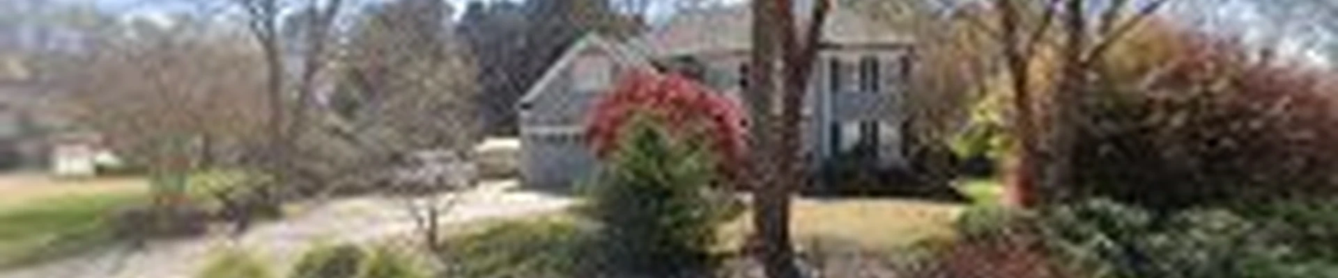 CS Tree Services Inc