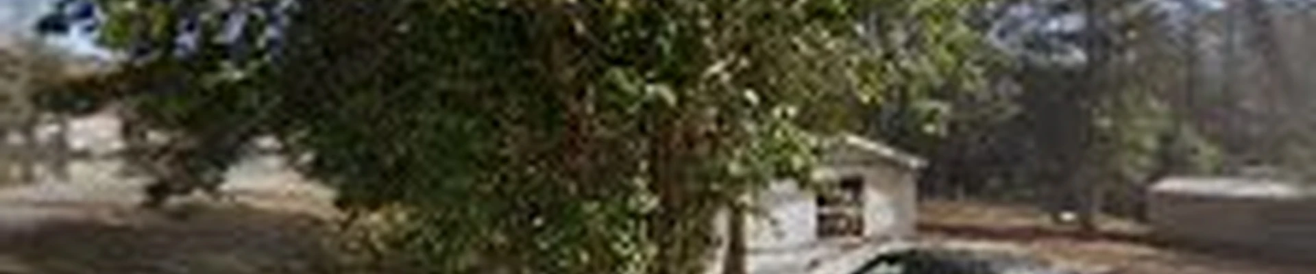 BG Tree Service, LLC