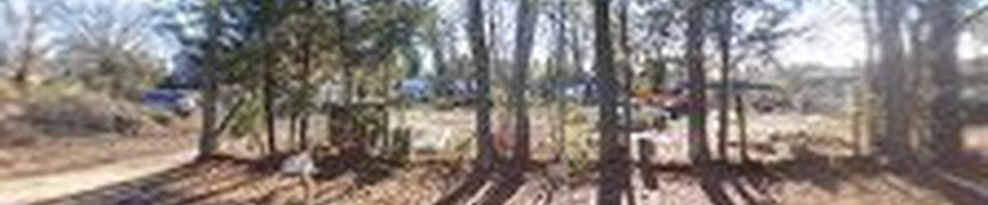 ArborMax Tree Service