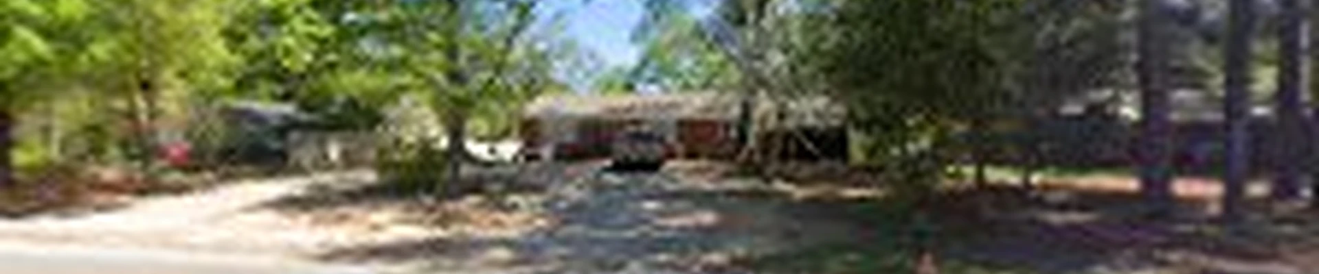 Amazon Tree Service