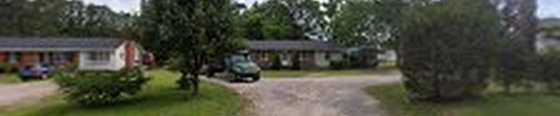 Tree M Removal, LLC