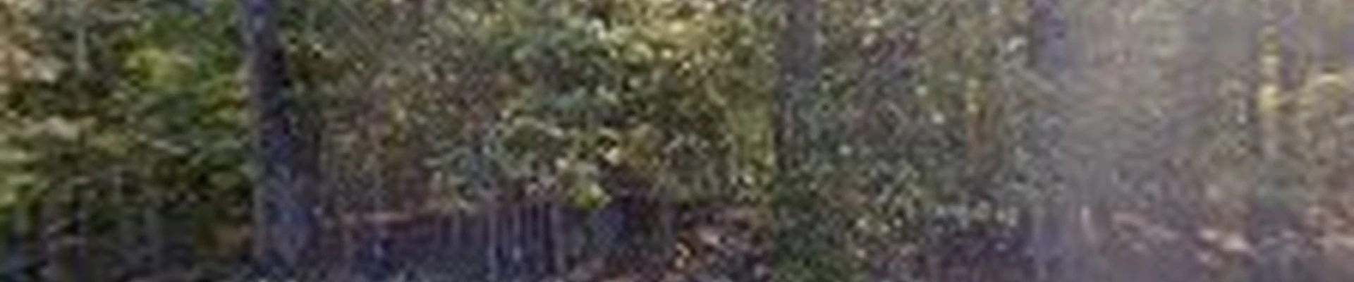 Treemasters Professional Tree Service