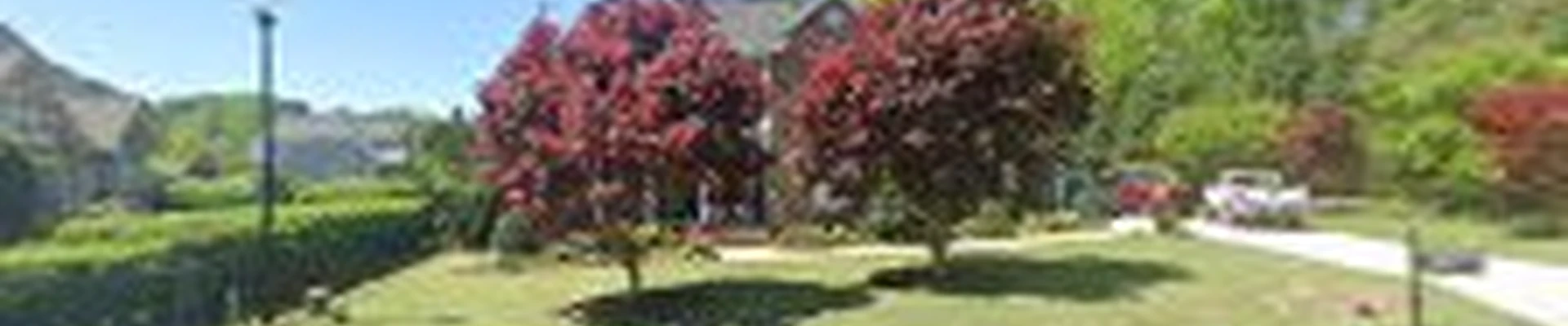 Systemize Irrigation Services