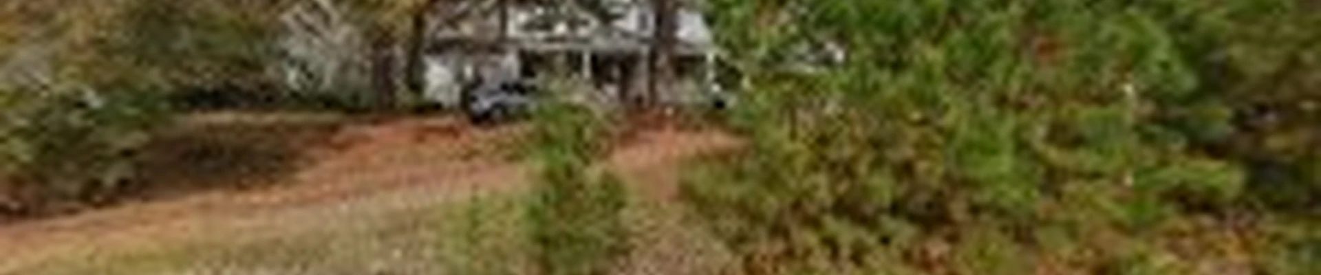 Danilo Vasquez tree service LLC