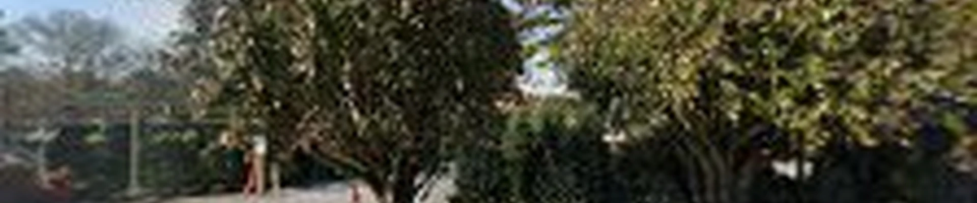 Lee's Produce & Garden Center