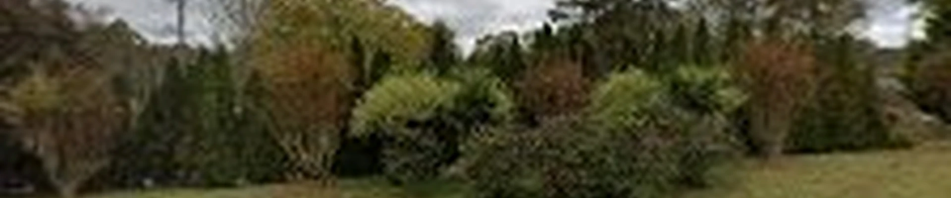 JCM Lawn Care