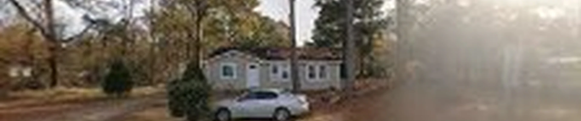 Murcia Tree Services