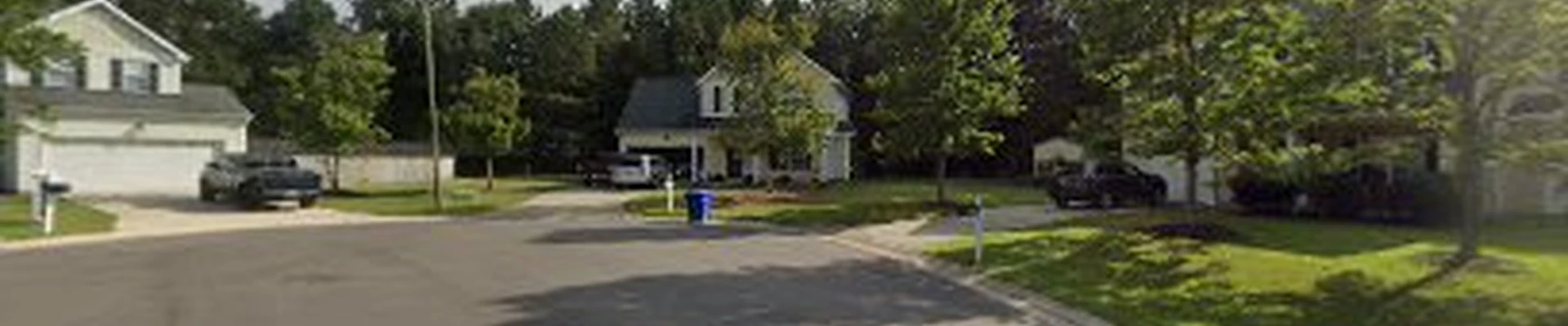 ANUR Lawn care And Tree service Durham