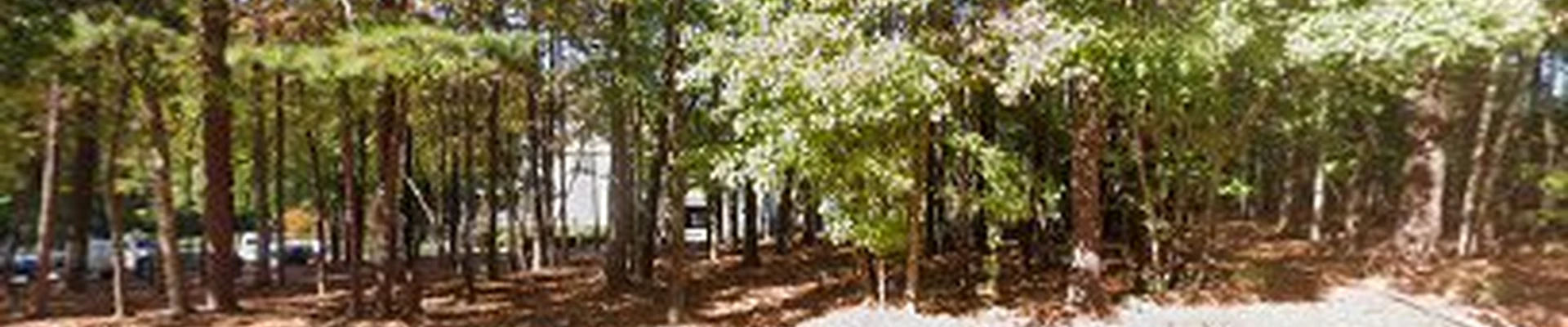 Tree Service & Shrub Care Wake Forest