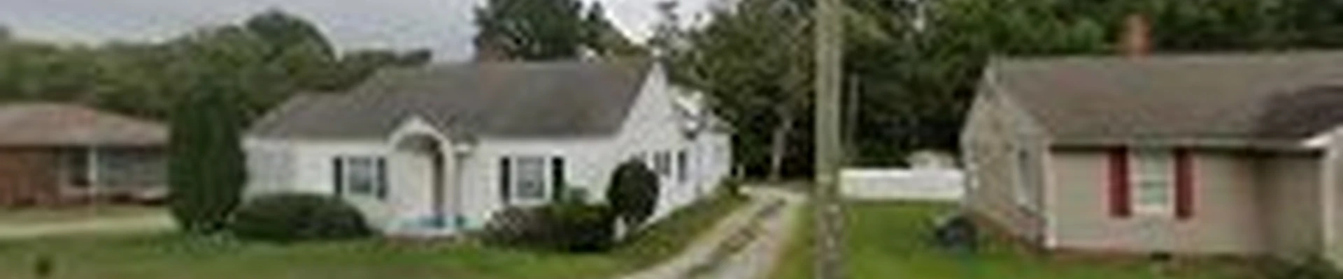 Green Leaves Tree Care Inc
