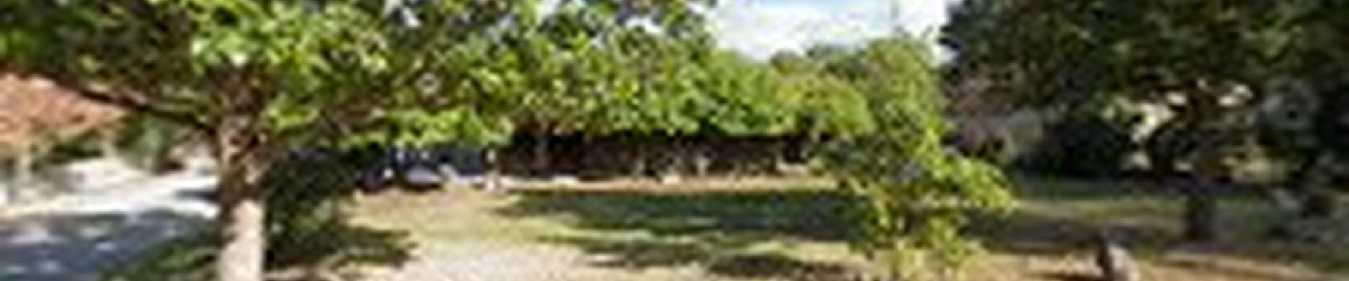 Elite Tree Service, Inc