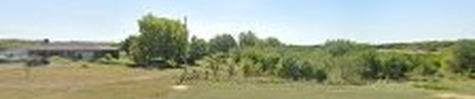 Tidd Tree