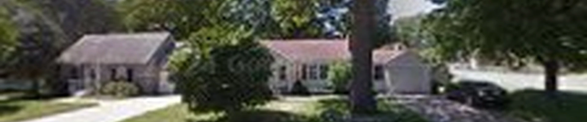 New Leaf Tree Service Kansas City
