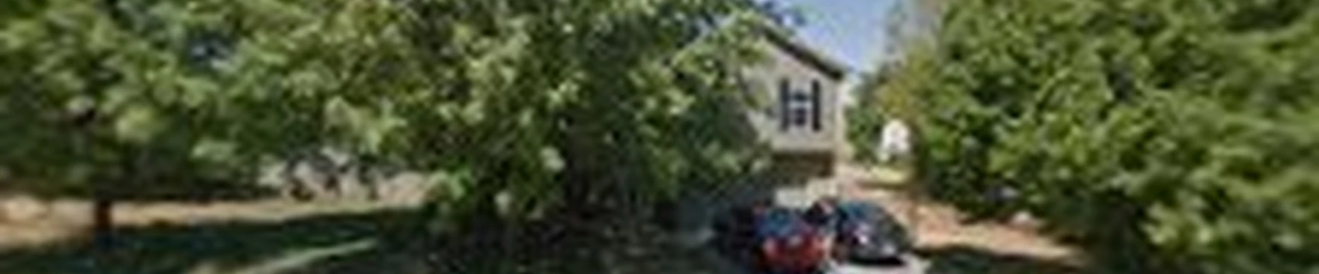 National Tree Service of Kansas City
