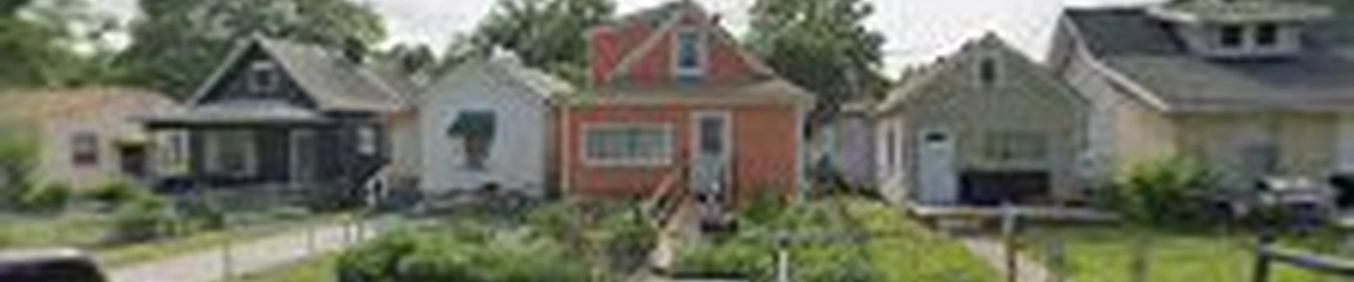PROFESSIONAL ARBORIST SERVICE