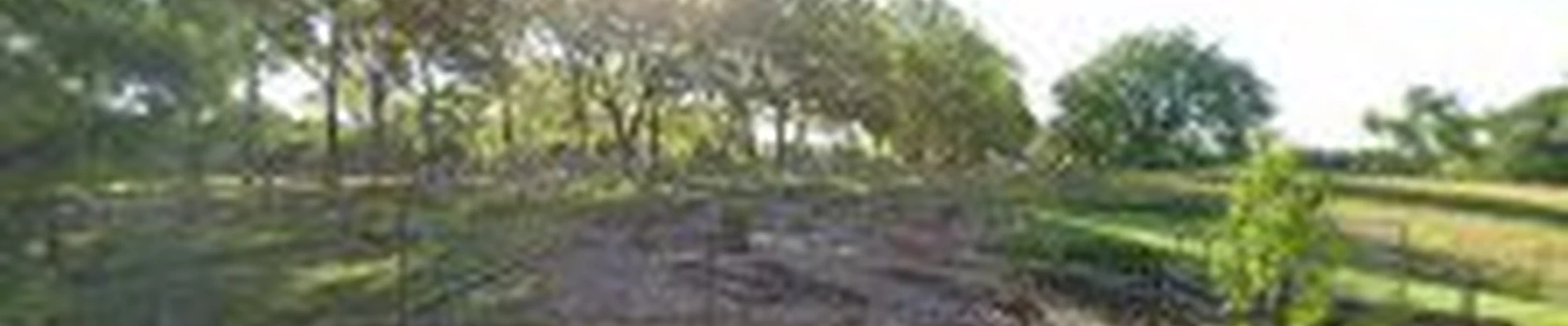 Timberline Tree Services