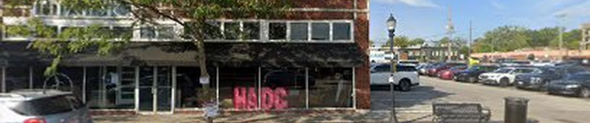 Mold Removal Lees Summit Solutions