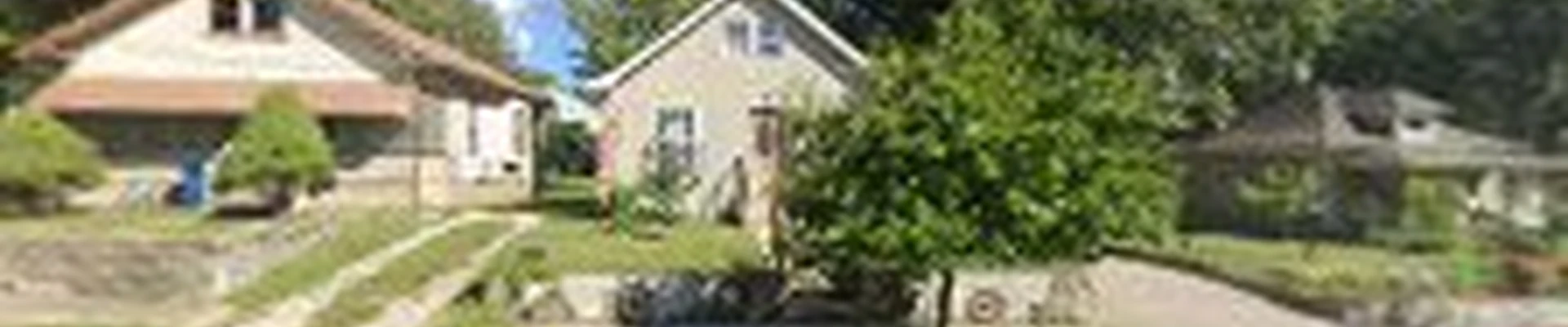 Steve’s Trees and Contracting