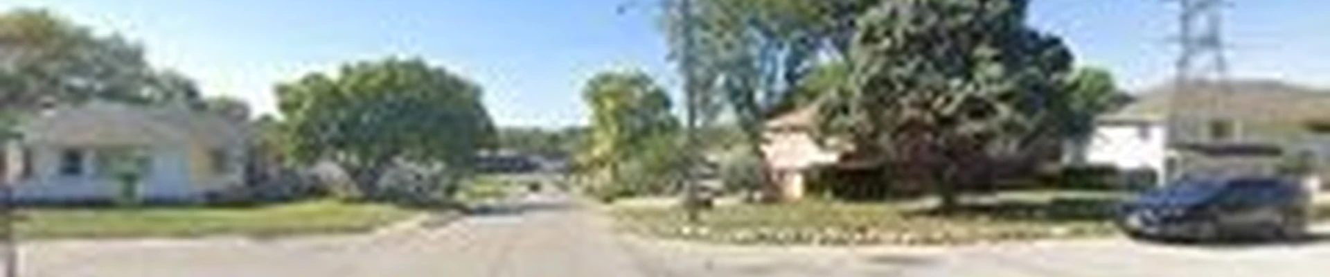 W Tree Services